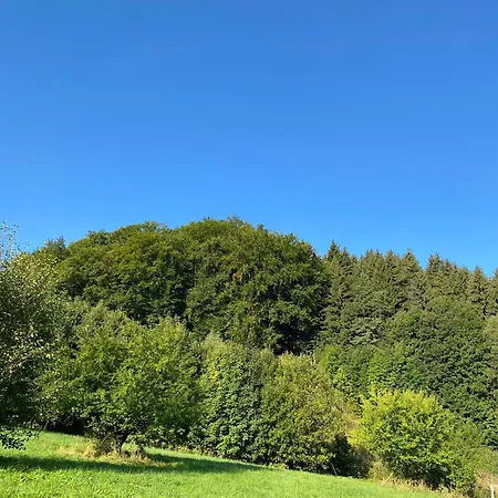 Orman Evi Perkaska *